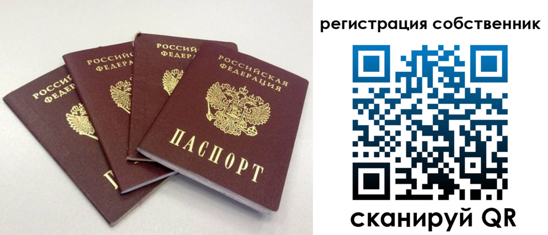 прописка для школы в Большом Камне